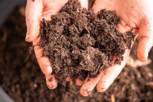IMAGO Creative, Biodynamische Landwirtschaft Close-up woman holding natural bio plant soil in her two hands, pot with soil in the background, gardening Close-up woman holding natural bio plant soil in her two hands, pot with soil in the background, gardening ,model released, Symbolfoto Copyright: xZoonar.com MarkusxBeckx 19877697 ,model released, Symbolfoto ,property released