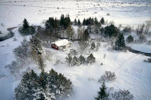House near trees on snow covered landscape Reykjavík, Reykjavíkurborg, Iceland R_OSBJ230503-1179477-01 EDITORIAL USE ONLY
