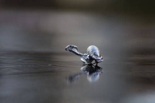 RECORD DATE NOT STATED Pewter casting object on the surface of a lake *** Pewter Guss Objekt am der Oberfläche des einer See 4071877