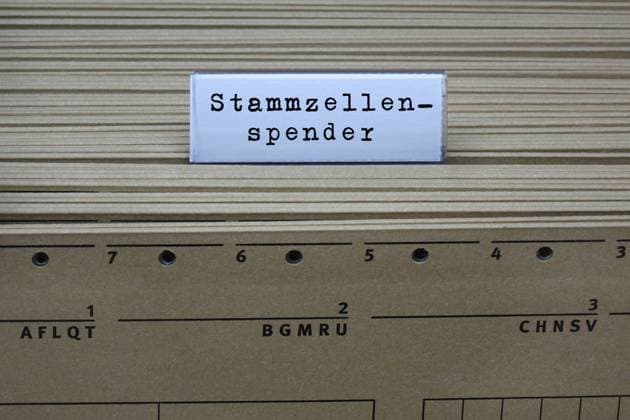 Hängeregister und Stammzellenspender Hängeregister und Stammzellenspender, 09.05.2023, Borkwalde, Brandenburg, An einem Hängeregister steht der Schriftzug Stammzellenspender. *** Hanging register and stem cell donor Hanging register and stem cell donor, 09 05 2023, Borkwalde, Brandenburg, On a hanging register is the writing stem cell donor
