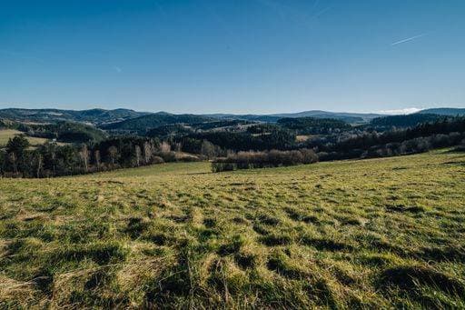 RECORD DATE NOT STATED Beautiful green meadow and pasture in Sumava National Park, Czechia. Hilly landscape of Sumava National Park, southern Bohemia. *** Schönes Grün Wiese und Weidegang ÊIn Sumava Nationaler Park, Czechia hügelig Landschaft des Sumava Nationaler Park, suedliches Böhmen 4349767
