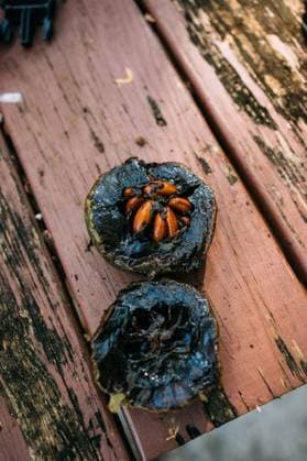 RECORD DATE NOT STATED A closeup of a slice black sapote fruit on a wooden table *** einer closeupe des einer Scheibchen Schwarz sapote Frucht am einer hölzern Tisch 4415792