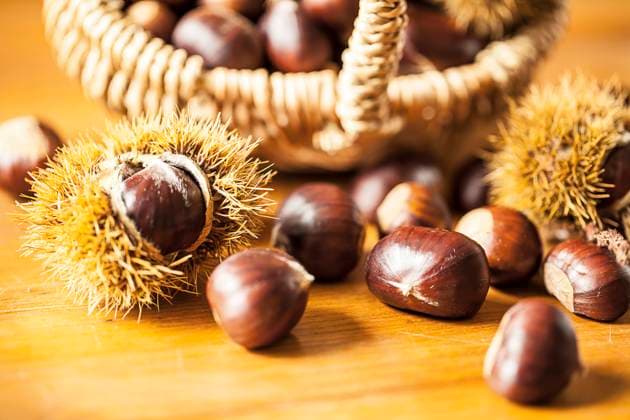 IMAGO Creative: Herbst, Kastanien sammeln Edel-Kastanie, Edelkastanie, Ess-Kastanie, Esskastanie, Marone (Castanea sativa), frische Maronen mit und ohne Huelle im Korb Spanish chestnut, sweet chestnut (Castanea sativa), fresh chestnut with and without husk in a basket BLWS686390 *** Noble Chestnut, Sweet chestnut, Ess Chestnut, Sweet chestnut, Marone Castanea Sativa , Freshness Chestnuts with and without Huelle at Basket Spanish chestnut, Sweet Chestnut Castanea Sativa , Fresh Chestnut With and without Husk in a Basket BLWS686390 Copyright: xblickwinkel M.xWuchenauerx