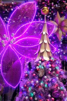 Christmas decoration: christmas tree and baubles in purple lighting Copyright: xNormanxChanx xDesignxPicsx , 30948010 Copyright: NormanxChanx xDesignxPics 30948010