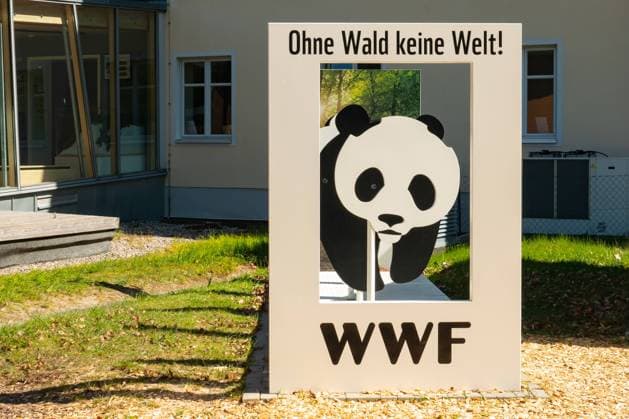 Blick auf ein Schild der Umweltorganisation WWF, World Wide Fund For Nature, neben dem Nationalpark-Zentrum Koenigstuhl auf dem Kreidefelsen Koenigsstuhl am 10.05.2023 bei Sassnitz auf der Insel Ruegen. View of a sign from the environmental organization WWF, World Wide Fund For Nature, next to the Koenigstuhl National Park Center on the Koenigsstuhl chalk cliffs on May 10th, 2023 near Sassnitz on the island of Ruegen. search: Deutschland Mecklenburg-Vorpommern Meckpom Mecklenburg Vorpommern Ostsee Mecklenburgische Landschaften Ostseelandschaften Kuestenlandschaften Kueste Ostseekueste Meer Kueste Kreidefelsen Koenigsstuhl Nationalparks Jasmund Zentrum Nationalparkzentrum Nationalpark-Zentrum Urlaubsgebiet erholen Erholung relaxen Ausflu
