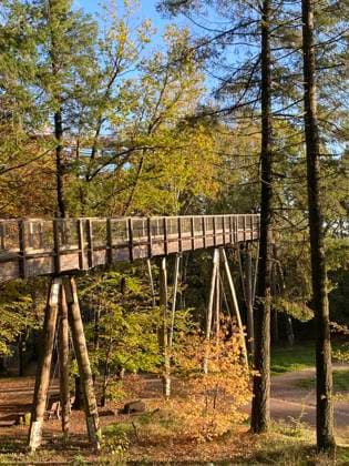Baumwipfelpfad Cloef an der Saarschleife bei Mettlach-Orscholz, Saarland, Deutschland *** Baumwipfelpfad Cloef to the Saar loop at Mettlach Orscholz, Saarland, Germany 1088814997