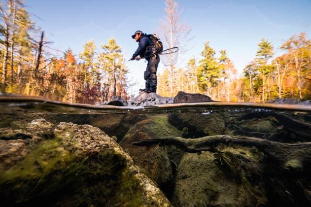A fly-fisherman fishing with streamers on a river in fall Windham, Maine, United States CR_BRDO2302106C-1125068-01 ,model released, Symbolfoto