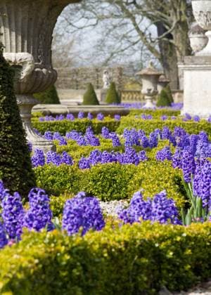 formal Garden in spring with beautiful flowers Copyright: xchristopherxsmithx xDesignxPicsx , 31155535 Copyright: AlixxHaydarx xDesignxPics 31155535