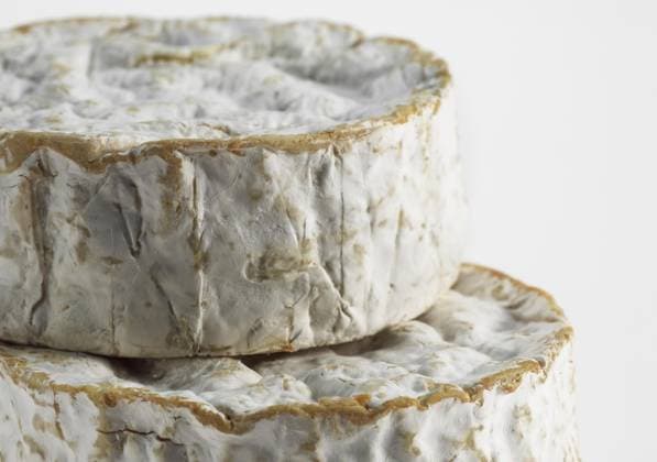 Camembert, französischer Käse aus Kuhmilch aus der Normandie *** Camembert, French Cheese from Cow s milk from the Normandy Copyright: imageBROKER G.xLacz ibllag08234200.jpg