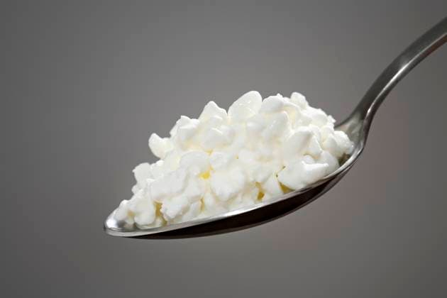 A Heap of Cottage cheese on a spoon Copyright: xJanxSandvikx xDesignxPicsx , 31168030 Copyright: JanxSandvikx xDesignxPics 31168030
