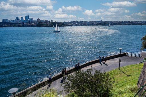 RECORD DATE NOT STATED A masted boat cruising on a sea and people on the embankment overlooking the Royal Botanic Garden in Sydney *** einer masted Boot kreuzende am einer Meer und Personen am der Böschung überschauend der Königliche Botanic Garten ÊIn Sydney 6839949