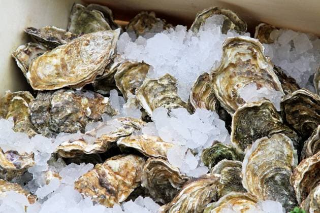 Fresh oyster molluscs in ice at market Copyright: xMarkoxBericx xDesignxPicsx , 31208609 Copyright: MarkoxBericx xDesignxPics 31208609