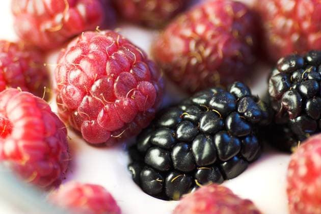 raspberries and blackberries on creamy yoghurt, close-up Copyright: xiraxstruebelx xDesignxPicsx , 31212514 Copyright: ShirleyxHuxXiaoxFangx xDesignxPics 31212514