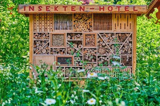 RECORD DATE NOT STATED View to an insect hotel made of different materials to offer a retreat for many species. The text above is German for insect hotel. *** Ansicht an An&Verkauf Insekt Hotelbus gemacht des unterschiedlich Materialien an Angebot einer Rückzug für viele Arten der Textes oben ist Deutsche für Insekt Hotelbus 6936177
