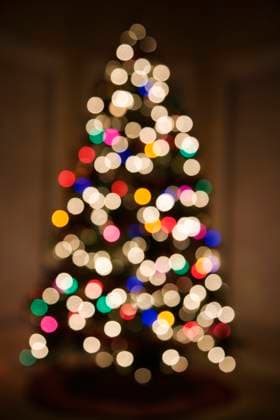 Abstract Christmas tree with blurred multicolored lights. Copyright: xIofotoxImagesx xDesignxPicsx , 31236074 Copyright: IofotoxImagesx xDesignxPics 31236074