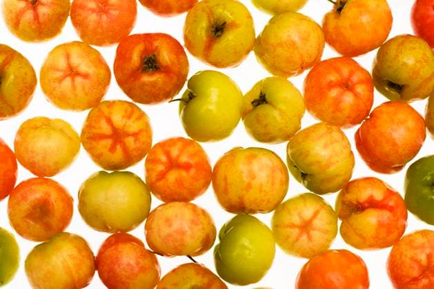 acerola Copyright: xLyxDinhxQuocxVux xDesignxPicsx , 31272007 Copyright: LyxDinhxQuocxVux xDesignxPics 31272007