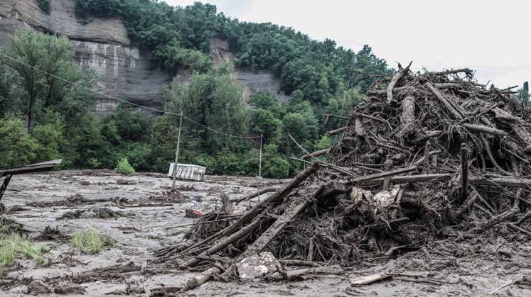 News Themen der Woche KW20 Landslides And Mud In The Mountains Of Bologna Fallen trees are removed to clear the ground. Bologna Mountain, 20 May 2023. Bologna s mountains are still ravaged by mud, while roads are still interrupted or reduced due to landslides. The civil protection, fire brigade and volunteers are working to shovel the mud and clean the ground. This will take a long time. Bologna Italy  Copyright: xCeciliaxFascianix originalFilename: fasciani-notitle230520_npHtg.jpg