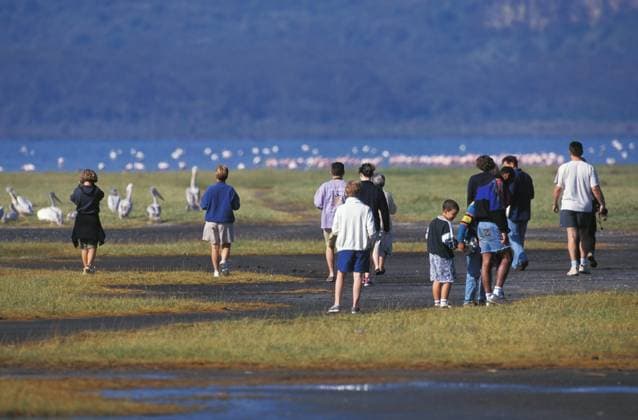  Touristen am Nakuru-See in Kenia *** Tourists on Nakuru Lake in Kenya Copyright: imageBROKER/G.xLacz ibllag08247377.jpg