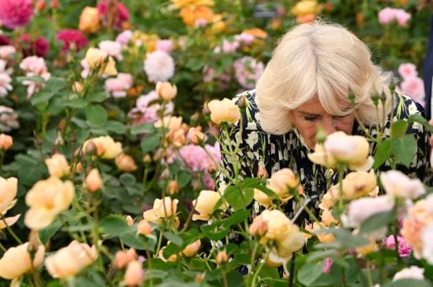 Entertainment Themen der Woche KW21 Entertainment Bilder des Tages . 22 05 2023. London, United Kingdom. King Charles III and Queen Camilla at the Chelsea Flower Show in London.  xPoolx xi-Imagesx IIM-24395-0014