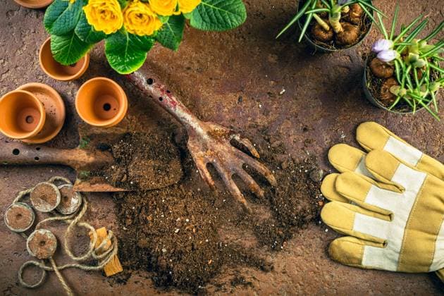 Spring gardening concept - gardening tools with plants Spring gardening concept - gardening tools with plants, flowerpots and soil Copyright: xZoonar.com IngridxBalabanovax 20000062