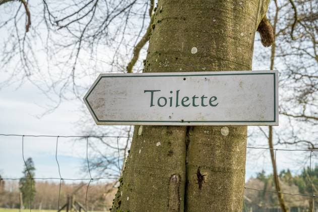 German white toilet Toilette direction sign at a tree trunk German white toilet Toilette direction sign at a tree trunk Copyright: xZoonar.com MarkusxBeckx 20016894