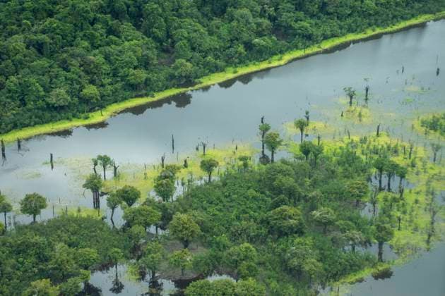 Beautiful aerial view to large river and green Amazon Rainforest Manaus, State of Amazonas, Brazil R_GNUJ230203F-1115683-01