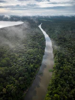 Beautiful aerial drone view to large rivers and green rainforest Manaus, State of Amazonas, Brazil R_GNUJ230203F-1115690-01