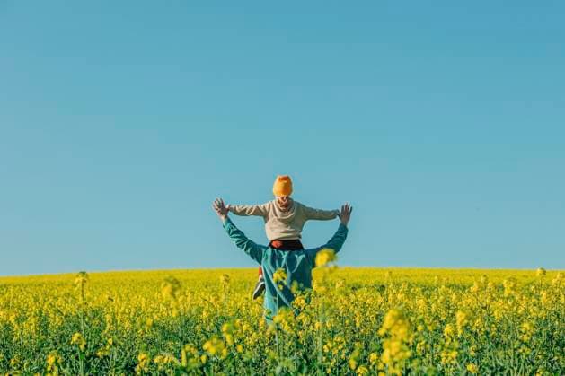 Father carrying son on shoulder in rapeseed field model released, Symbolfoto, VSNF00771