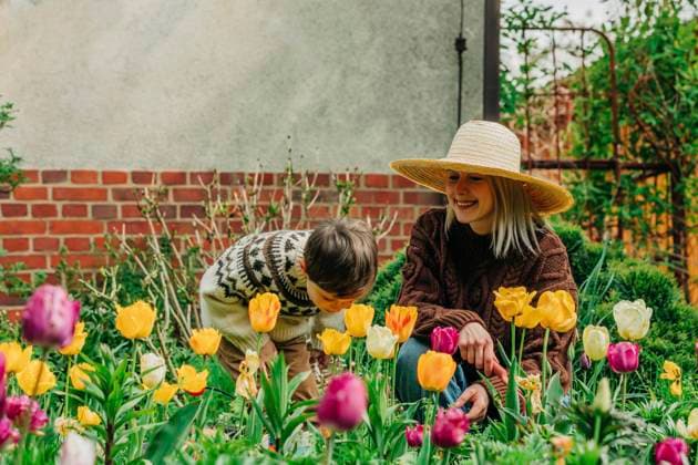 Mother and son spending leisure time amidst tulips in garden model released, Symbolfoto property released, VSNF00860