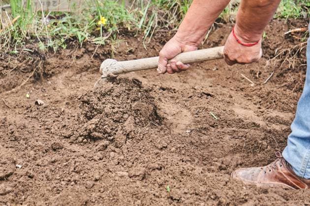 MR_ID13980_13395_GuillermoSalazar.jpg Cropped unrecognizable mature Andean male farmer in casual clothes using hoe while cultivating soil during work in countryside in community of Otavalo Ecuador, Model released JoseDeJesusSaldana_ID13980_421553_021 Copyright: xJosdexJesusxSaldanax MR