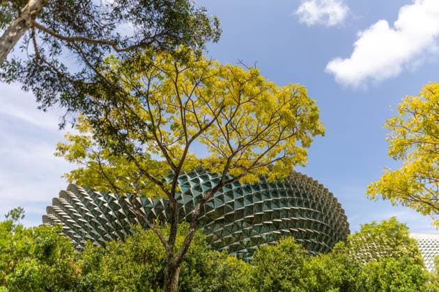 Creative Highlights World Esplanade Theatres on the Bay in Singapur, bekannt als Die Durian , ist ein markantes Kulturzentrum mit einer einzigartigen architektonischen Form, die an die Stacheln einer Durian-Frucht erinnert. Das preisgekrönte Gebäude beherbergt erstklassige Veranstaltungsorte für Theateraufführungen, Konzerte und andere künstlerische Darbietungen. Es ist ein kulturelles Wahrzeichen und ein Symbol für Singapurs lebendige Kunst- und Kulturszene. 20.05.2023 *** Esplanade Theatres on the Bay in Singapore, known as The Durian , is a striking cultural center with a unique architectural form reminiscent of the spines of a durian fruit The award-winning building houses world-class venues for theater performances, concerts and other artistic perfo