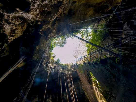 View Of A Gorgeous Cenotes Near Cuzama, Yucatan, Mexico The beautiful waters in the cenotes of Cuzama, Yucatan, Mexico Copyright: xZoonar.com WalterxGxArcexSrxGrindstonexMediaxGroup WalterxArcexPhotographyx 20018320
