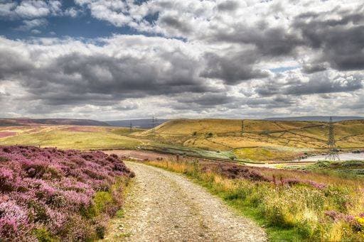 The North York Moors National Park on a cloudy day *** der Nord York Mauren Nationaler parkähnliche am einer wolkig Tag 8472490 RECORD DATE NOT STATED