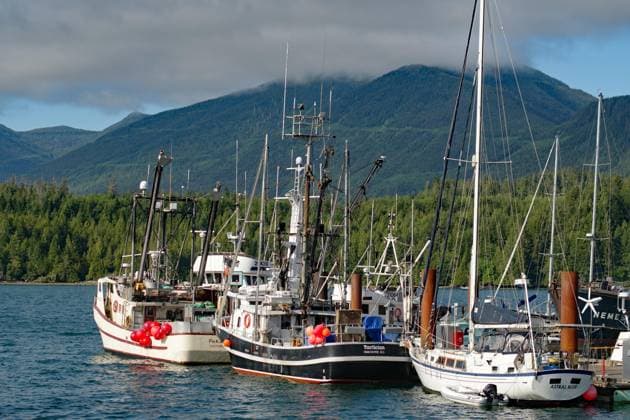 Kleine Fischer- und Freizeitboote im Hafen, hoh, grüne Bergzüge, Ucuelet, Küste, Pazifik, British Columbia, Kanada, Nordamerika Copyright: imageBROKER/ReinhardxPantke ibxrpa09311204.jpg