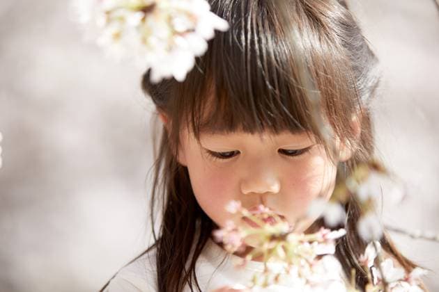 Japanese kid portrait with blooming cherry blossoms AFLO204030276  , 204030276.jpg, ,model released, Symbolfoto