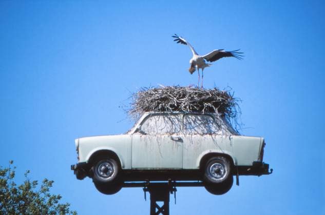 Storchennesttrabi Deu BRB bei Neuruppin Bechlin Trabant 601 auf einem Gittermast Trabi dient als Storchennest Storch landet er hat Material zum Nestbauen im Schnabel *** Stork Nest Trabi Deu BRB near Neuruppin Bechlin Trabant 601 on a lattice mast Trabi serves as a stork nest stork lands he has material to build a nest in his beak