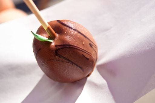 A closeup of a chocolate-covered sweet apple on a wooden stick *** einer closeupe des einer Schokolade Gedeckter suesse Apfel am einer hölzern kleben 8569039 RECORD DATE NOT STATED