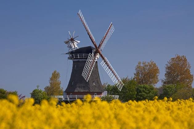 Windmühle in Oldsum auf der Insel Föhr, Nordfriesland, Deutschland, Europa *** Windmill in Oldsum at the Island Föhr, North Frisia, Germany, Europe Copyright: imageBROKER alimdix xArterra ibltsm09319062.jpg
