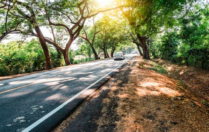  Ein Auto fährt auf einer asphaltierten Straße, die von Bäumen umgeben ist. Ein Auto fährt auf einer schönen Straße durch den Wald. Grenzstraße von Managua nach Tipitapa, umgeben von Bäumen *** a Car drives at a asphalt Street, the from Trees surrounded is a Car drives at a beautiful Street through the Forest Grenzstraße from Managua to Tipitapa, surrounded from Trees Copyright: imageBROKER/IsaixHernandez ibxiih09322187.jpg