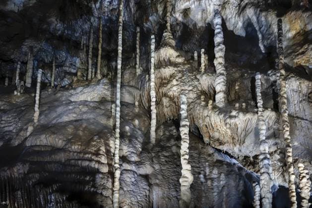 Stalaktiten, Stalagmiten und Säulen in der Kalksteinhöhle der Grotten von Han sur Lesse, Grottes de Han, Belgische Ardennen, Belgien, Europa