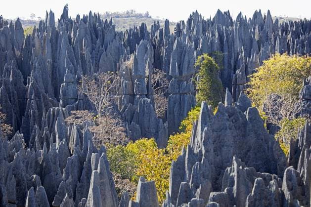 Creative Highlights World Karstkalksteinformation im Strengen Naturschutzgebiet Tsingy de Bemaraha, Melaky, Madagaskar, Südostafrika, Afrika *** Karst limestone formation at strict Nature reserve Tsingy de Bemaraha, Melaky, Madagascar, Southeast Africa, Africa Copyright: imageBROKER/alimdix/xArterra ibltsm09327196.jpg