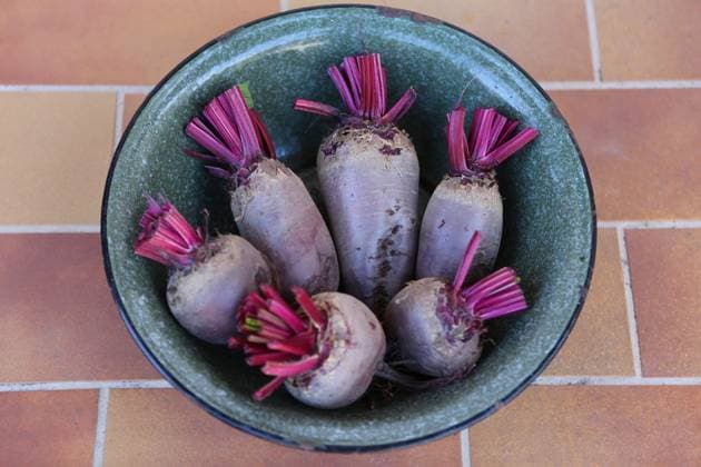 Rote Beete Rote Beete Copyright: xZoonar.com KarinaxBaumgartx 20244388