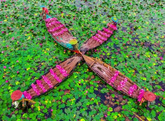 Bilder des Jahres 2023, News June 06 News Themen der Woche KW23 June 8, 2023, Barishal, Barishal, Bangladesh: Farmers are seen floating through an over 60 square kilometers canal and collecting the Water Lilies in Satla Union, Barishal Bangladesh. Workers are seen working from very early in the morning from 6-8 am in the canal wearing handmade Head caps to protect their head and body for the tremendous heat of the sun. The farmers would sell the delicate bright pink blooms at Local market. Pink lilies and green lily pads cover the over 10,000-acre canal and wetlands area in Barishal Division, Bangladesh. Every flower is carefully hand-picked and collected inside the farmers little wooden boat. The flowers only bloom at a specific time during of seasonal flood. Barishal Bangladesh - ZUMAr337 20230608_zip_r337_003 Copyright: xMustasinurxRahmanxAlvix