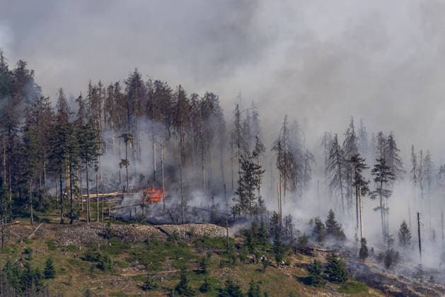 News Bilder des Tages Waldbrand am Alkönig im Taunus Der Wald am westlichen Hang des Berges Altkönig im Taunus brennt am Nachmittag mit einer weithin sichtbaren Rauchentwicklung., Königstein Hessen Deutschland *** Forest fire at the Alkönig in Taunus The forest on the western slope of the mountain Altkönig in Taunus burns in the afternoon with a widely visible smoke development , Königstein Hesse Germany