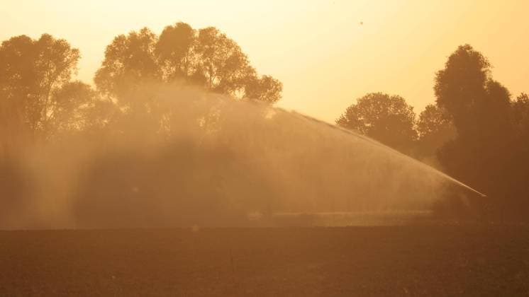 Ein seichtes Aufatmen in der Krisenregion Lübtheen. Nachdem am Montagabend ein großer Waldbrand mit über 100 Hektar ausgebrochen ist, atmen die Einsatzkräfte in den späten Abendstunden etwas auf. Trotz starkem Wind breitet sich das Feuer nicht weiter aus. Die Waldbrandschneisen Ð sie wurden nach dem schlimmen Waldbrand 2019 geschlagen Ð halten. Dennoch lodern am Schneisenrand immer wieder Flammen auf. Die Feuerwehr ist die ganze Nacht im Einsatz und löscht die aufflammenden Brände ab. Die gute Nachricht, der Brand ist eingedämmt, breitet sich vorerst nicht aus. Jedoch auch am Abend ist keine einzige Wolke am Himmel. Die Bauern bewässern ihre Felder im Abendlicht. Was sich alle Wünschen ist Regen. Lübtheen Mecklenburg-Vorpommern Deutschland