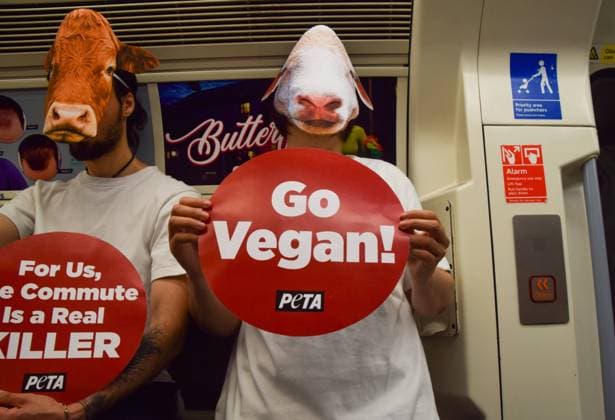 June 14, 2023, London, United Kingdom: PETA (People for the Ethical Treatment of Animals) activists wearing sheep and cow masks and holding pro-vegan and anti-live export placards staged a protest on a London Underground train demanding that the UK Government reinstates the Kept Animals Bill and bans live animal exports. London United Kingdom - ZUMAs197 20230614_zaa_s197_036 Copyright: xVukxValcicx
