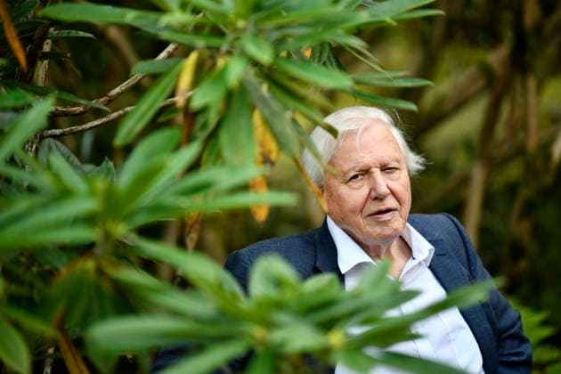 IMAGO ICONS: Sir David Attenborough GOTHENBURG 2018-09-06 Sir David Attenborough is seen at the Botanical gardens in Gothenburg, Sweden on Thursday. Sir Attenborough is in Sweden to accept an award during the annual The Perfect World Foundations dinner. Foto Björn Larsson Rosvall TT kod 9200 GÖTEBORG Sweden x9200x *** GOTHENBURG 2018 09 06 Sir David Attenborough is seen at the Botanical gardens in Gothenburg, Sweden on Thursday Sir Attenborough is in Sweden to accept an award during the annual The Perfect World Foundations dinner Foto Björn Larsson Rosvall TT kod 9200 GÖTEBORG Sweden x9200x  Copyright: xBjörnxLarssonxRosvallx xTTx DAVID ATTENBOROGH IN SWEDEN