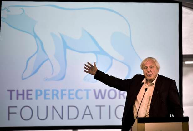 IMAGO ICONS: Sir David Attenborough GÖTEBORG 2018-09-06 Sir David Attenborough haller föreläsning pa Botaniska trädgarden i Göteborg där han även planterade en magnolia fran Kina. Ikväll kommer han att ta emot ett hederspris under The Perfect World Foundations arliga gala för natur- och djurliv. Foto Björn Larsson Rosvall TT kod 9200 GÖTEBORG Sverige x9200x *** GÖTEBORG 2018 09 06 Sir David Attenborough will give a lecture at the Botanical Garden in Gothenburg where he also planted a magnolia from China Tonight he will receive an honorary award at The Perfect World Foundations annual gala for nature and wildlife Photo Björn Larsson Rosvall TT code 9200 GÖTEBORG Sweden x9200x  Copyright: xBjörnxLarssonxRosvallx xTTx DAVID ATTENBOROGH