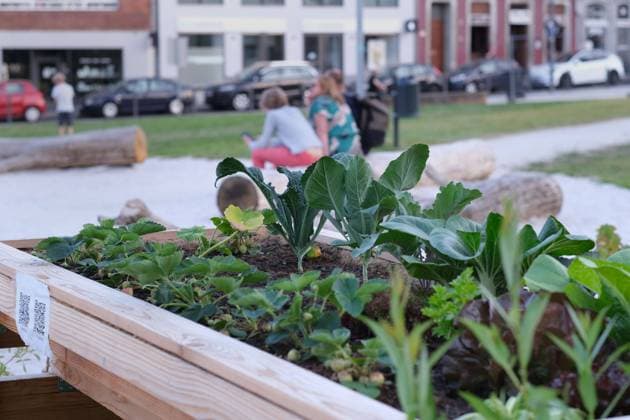 IMAGO Creative: Garten, Anbau im Hochbeet Büchel-Garten Aachen, 10.06.2023: Der neu angelegte öffentliche Büchel-Garten auf dem Gelände des abgerissenen Parkhauses. Hochbeet des Projekts Essbare Innenstadt . Aachen Büchel Nikolausstraße NRW Deutschland *** Büchel Garden Aachen, 10 06 2023 The newly created public Büchel Garden on the site of the demolished parking garage raised bed of the project Edible City Center Aachen Büchel Nikolausstraße NRW Germany.