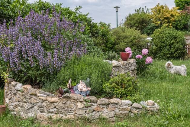 Kräutergarten in handgemachter Kräuterspirale aus Steinen - davor weisser Hund Kräutergarten in handgemachter Kräuterspirale aus Steinen - davor weisser Hund Copyright: xZoonar.com AlfredxHoferx 13748502